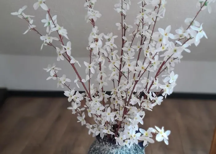 Unter Der Löwenburg